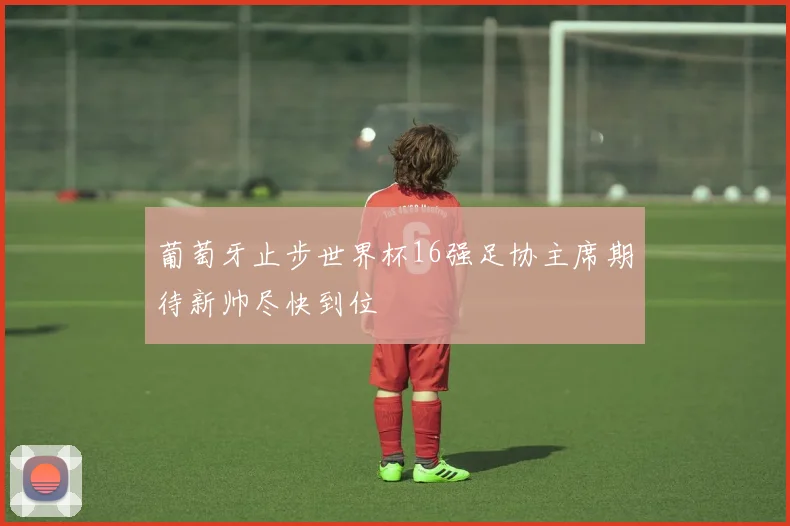 葡萄牙止步世界杯16强足协主席期待新帅尽快到位